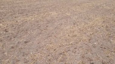 Sonbaharda ekili bir tarlada toprak
