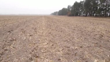 Sonbaharda ekili bir tarlada toprak