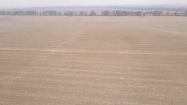 Sonbaharda ekili bir tarlada toprak