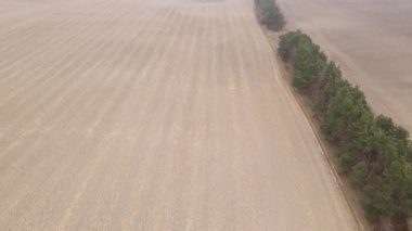 Sonbaharda ekili bir tarlada toprak