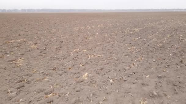 Tierra en un campo arado en otoño — Vídeo de stock