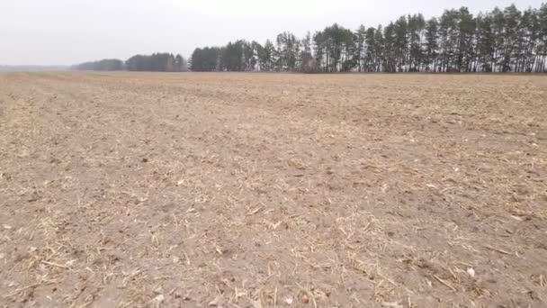 Land in een geploegd veld in de herfst — Stockvideo