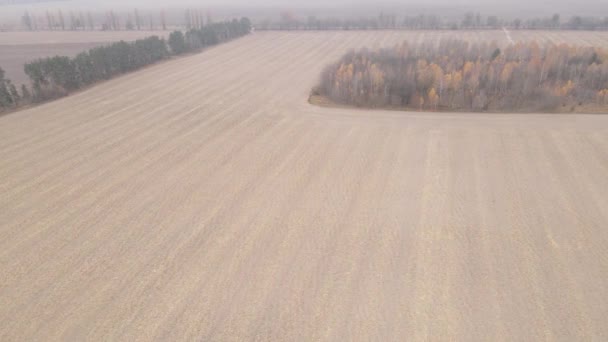 Terreno em um campo arado no outono — Vídeo de Stock
