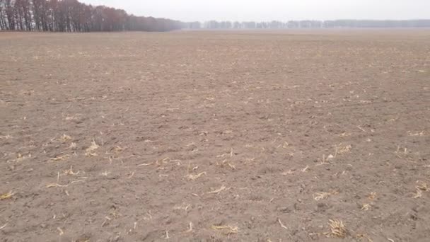 Terreno em um campo arado no outono — Vídeo de Stock