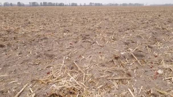 Terreno em um campo arado no outono — Vídeo de Stock