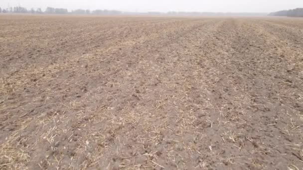 Tierra en un campo arado en otoño — Vídeos de Stock