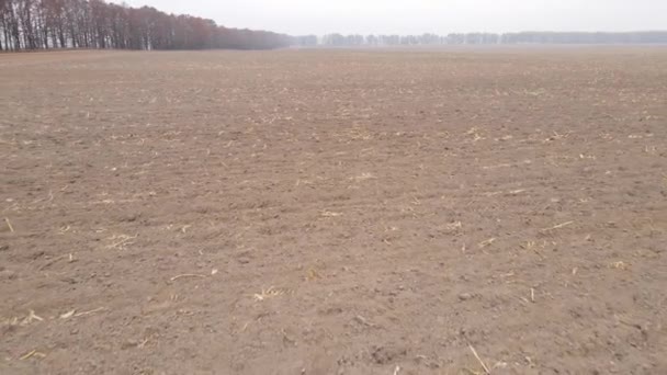 Leszállás egy szántott mezőn ősszel — Stock videók