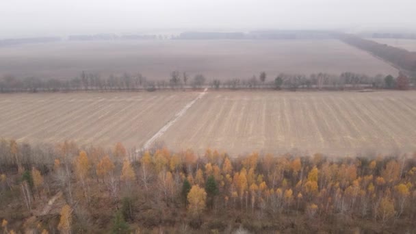 Land in a plowed field in autumn — Stock Video