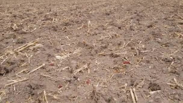 Sonbaharda ekili bir tarlada toprak — Stok video