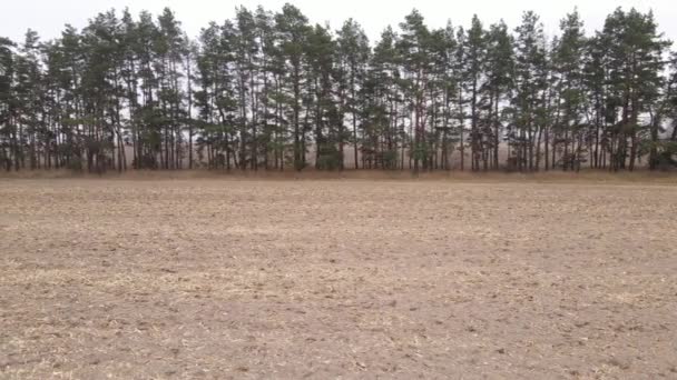 Tierra en un campo arado en otoño — Vídeos de Stock