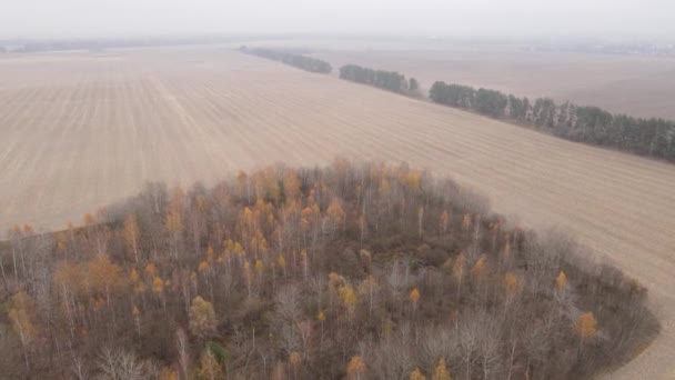 Tierra en un campo arado en otoño — Vídeos de Stock