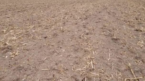 가을에 쟁기 질을 하는 밭에 있는 땅 — 비디오