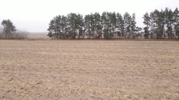 Leszállás egy szántott mezőn ősszel — Stock videók