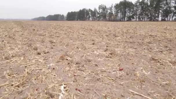 Land in a plowed field in autumn — Stock Video