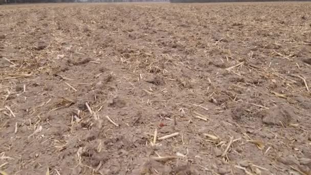 Land in einem gepflügten Feld im Herbst — Stockvideo