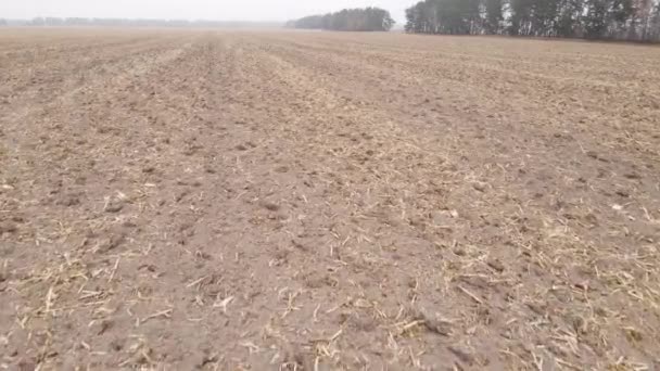 Terreno em um campo arado no outono — Vídeo de Stock