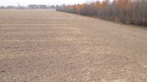 Land in einem gepflügten Feld im Herbst — Stockvideo