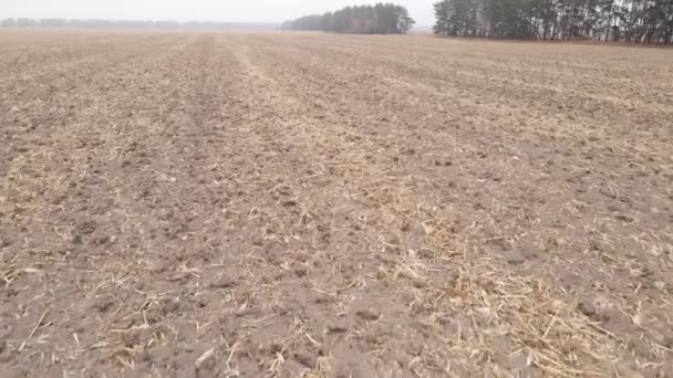 Tierra en un campo arado en otoño — Vídeos de Stock