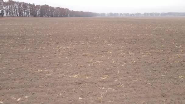 Tierra en un campo arado en otoño — Vídeos de Stock