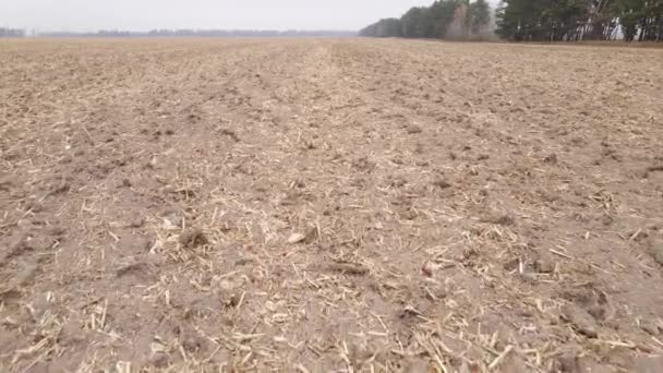 Land in een geploegd veld in de herfst — Stockvideo