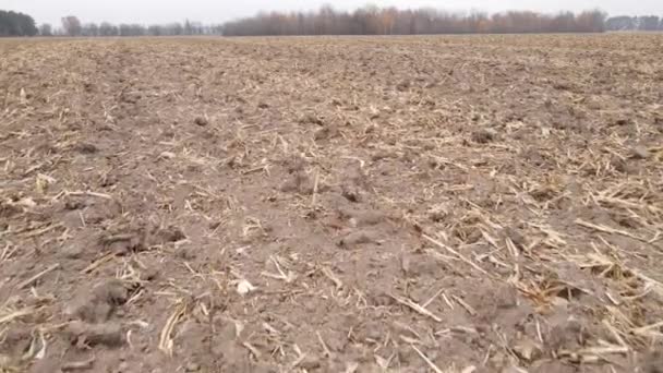 Sonbaharda ekili bir tarlada toprak — Stok video