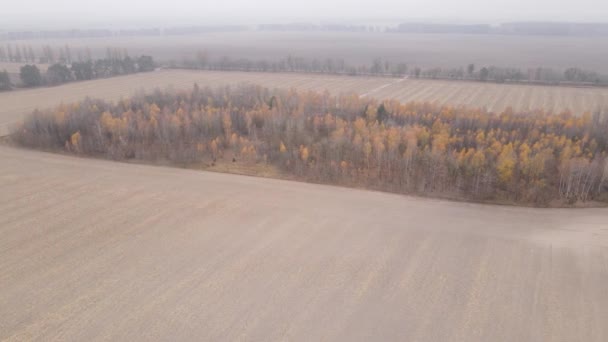 Land in einem gepflügten Feld im Herbst — Stockvideo