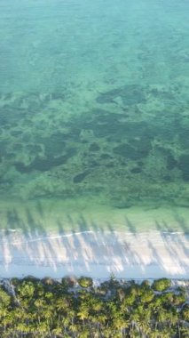 Tanzanya - Zanzibar adasında dikey boş kumsal, yavaş çekim