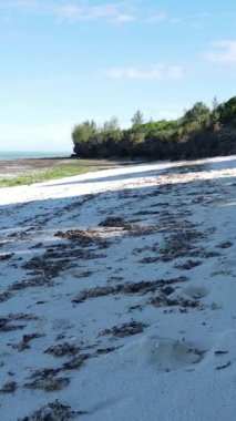 Tanzanya - Zanzibar adasında dikey boş kumsal, yavaş çekim