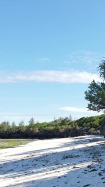 Tanzanya - Zanzibar adasında dikey boş kumsal, yavaş çekim