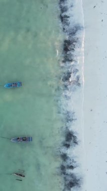 Tanzanya - Zanzibar adasında dikey boş kumsal, yavaş çekim