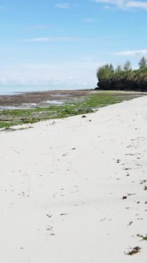 Tanzanya - Zanzibar adasında dikey boş kumsal, yavaş çekim