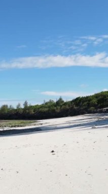 Tanzanya - Zanzibar adasında dikey boş kumsal, yavaş çekim