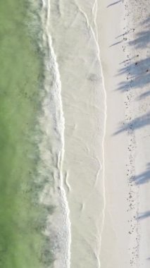 Tanzanya - Zanzibar adasında dikey boş kumsal, yavaş çekim