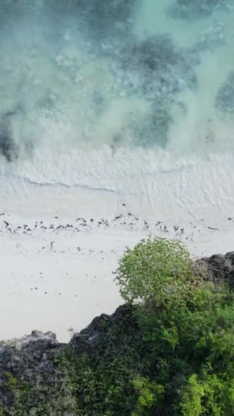 Tansania - vertikales Video leerer Strand auf Sansibar Insel, Zeitlupe — Stockvideo
