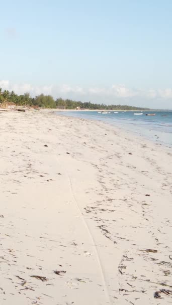 Tanzania - vertical video empty beach on Zanzibar island, slow motion — 图库视频影像