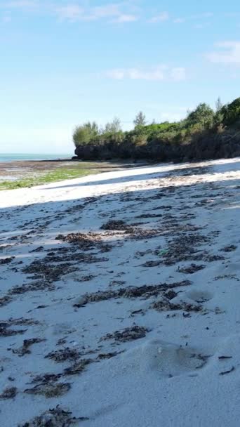 Танзанія - вертикальне відео порожній пляж на острові Занзібар, повільний рух — стокове відео