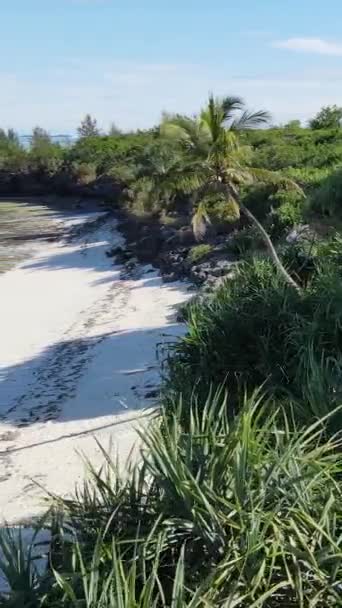 탄자니아 - 잔지바르 섬에 있는 수직빈 해변, 느린 동작 — 비디오