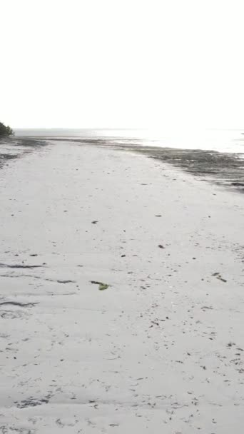 Tanzánia - függőleges videó üres strand Zanzibár szigetén, lassított felvétel — Stock videók