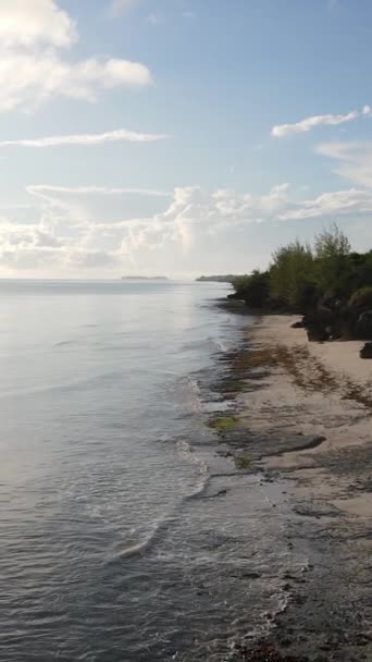 Tanzania - vertical video empty beach on Zanzibar island, slow motion — Stock Video