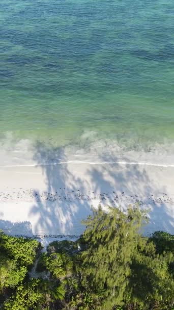 Tanzánia - függőleges videó üres strand Zanzibár szigetén, lassított felvétel — Stock videók