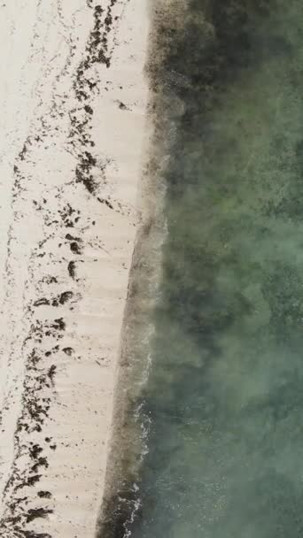 Tanzânia - vídeo vertical praia vazia na ilha de Zanzibar, câmera lenta — Vídeo de Stock