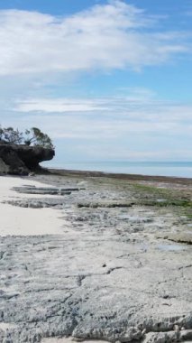 Tanzanya - Zanzibar adasında dikey boş kumsal, yavaş çekim