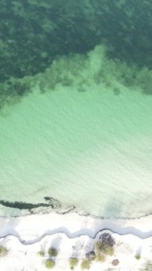 Tanzanya - Zanzibar adasında dikey boş kumsal, yavaş çekim