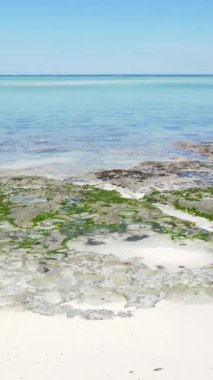 Tanzanya - Zanzibar adasında dikey boş kumsal, yavaş çekim