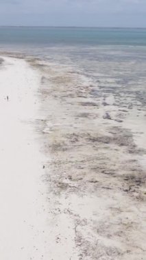 Tanzanya - Zanzibar adasında dikey boş kumsal, yavaş çekim
