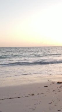 Tanzanya - Zanzibar adasında dikey boş kumsal, yavaş çekim