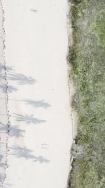 Tanzanya - Zanzibar adasında dikey boş kumsal, yavaş çekim