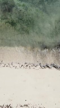 Tanzanya - Zanzibar adasında dikey boş kumsal, yavaş çekim