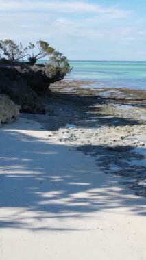 Tanzanya - Zanzibar adasında dikey boş kumsal, yavaş çekim