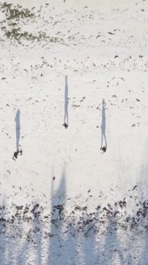 Tanzanya - Zanzibar plajında futbol oynayan dikey videocular, yavaş çekim